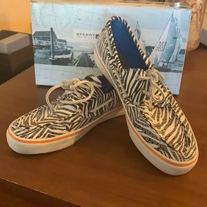 Bahama White Zebra/sequence